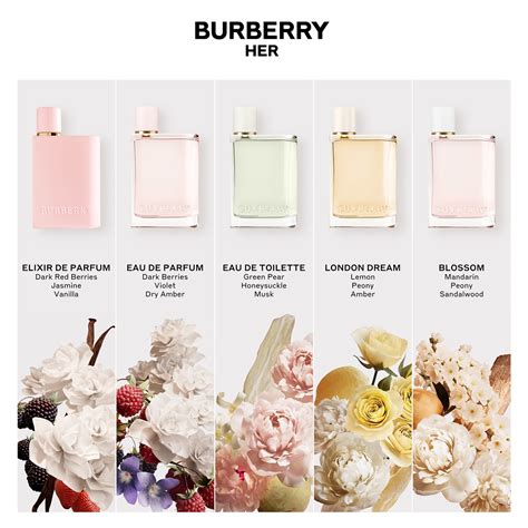 body by burberry free sample|burberry her scent notes.